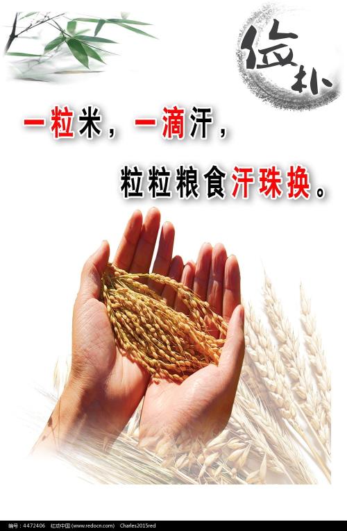 广告艺术学院社会学文凭证书